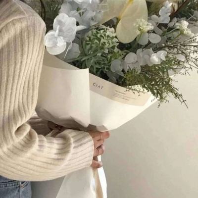 我的狼女友中文版下载